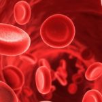 Choroby krwi to m.in. anemia, czerwienica, białaczka i hemofilia.