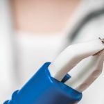 Neuroborelioza jest powodowana przez kleszcze / Fot. Adobe Stock