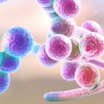 Candida albicans może wywołać zakażenia grzybicze u osób z obniżoną odpornością.