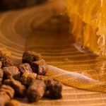 propolis i plaster miodu - produkty pszczele