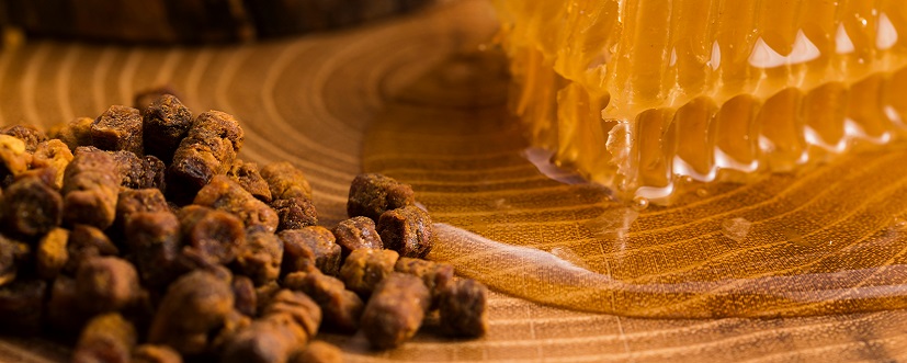 propolis i plaster miodu - produkty pszczele