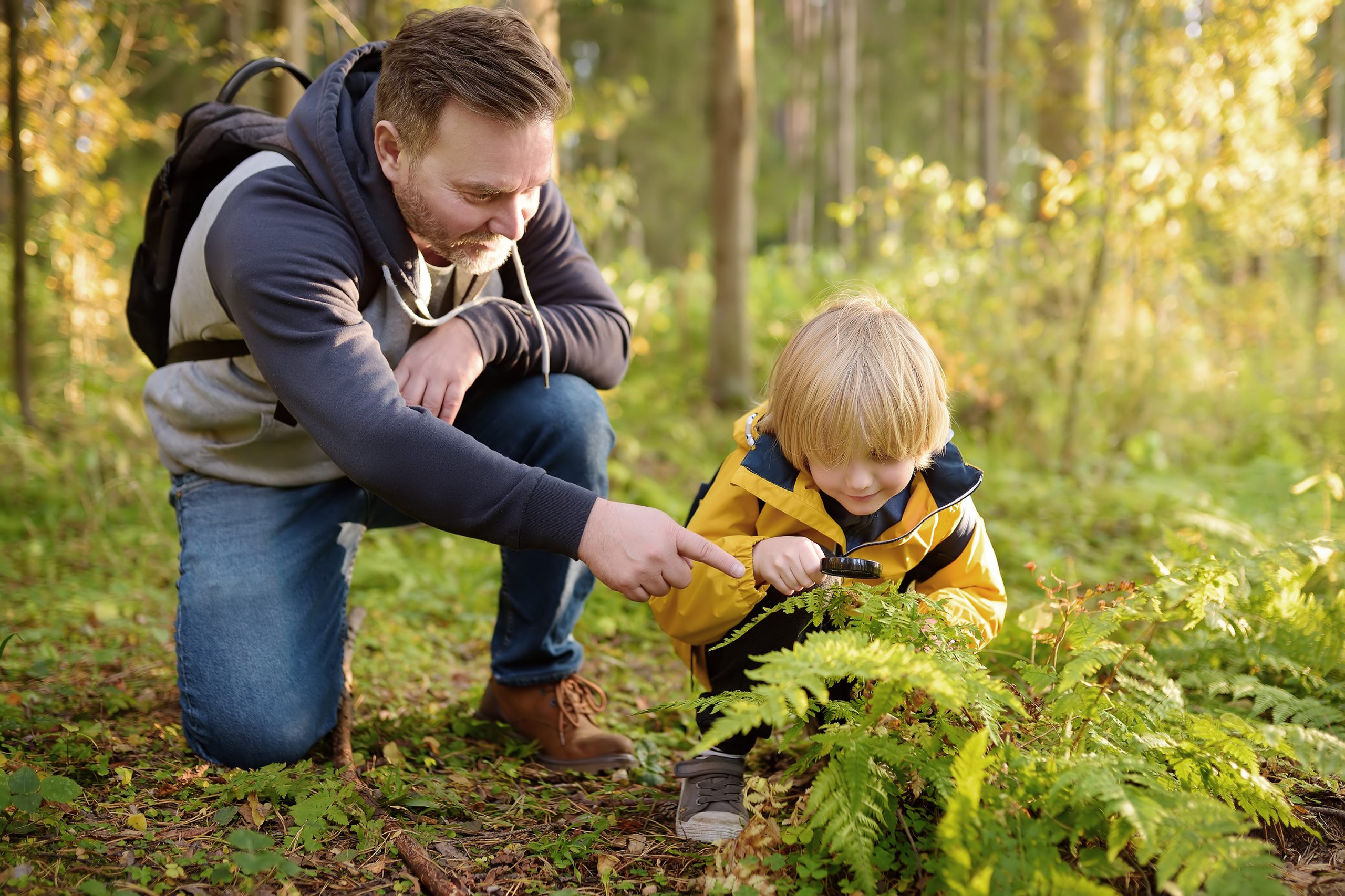 Preschooler boy and his father are exploring nature with magnifying glass. Little child is looking on leaf of fern with magnifier. Summer family vacation for inquisitive kids in forest. Hiking