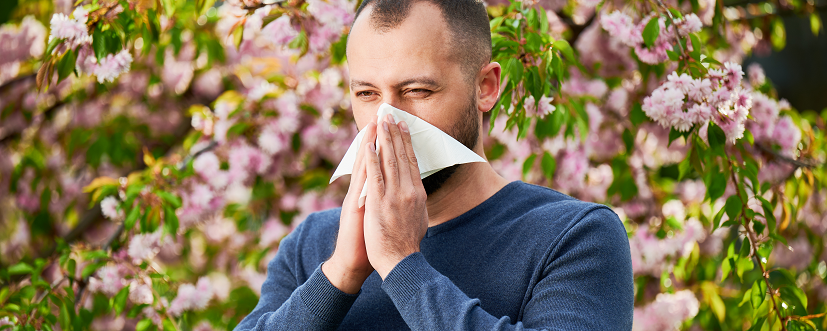 Alergia wiosną – co pyli wiosną? Objawy alergii na wiosnę 