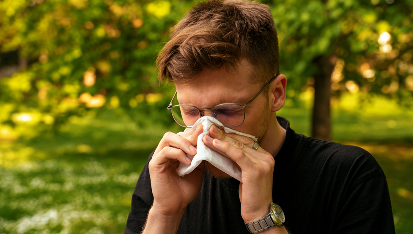 Alergia na pyłki drzew