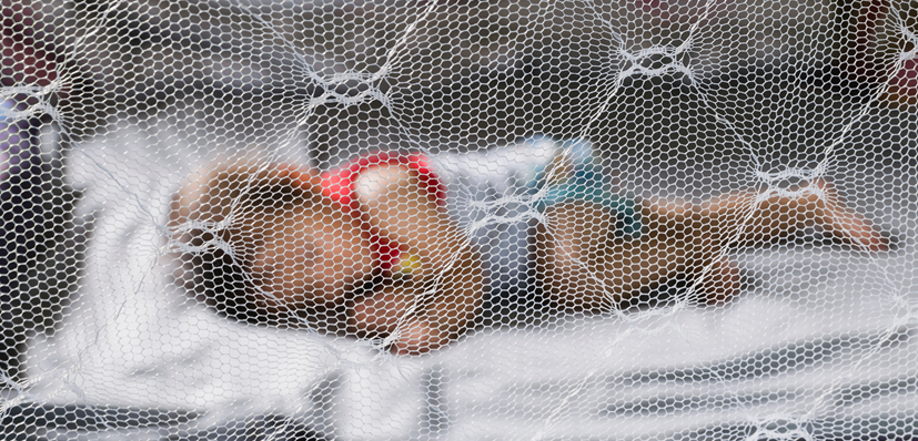 malaria