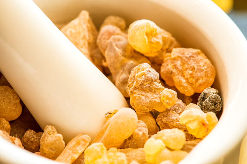 Boswellia serrata