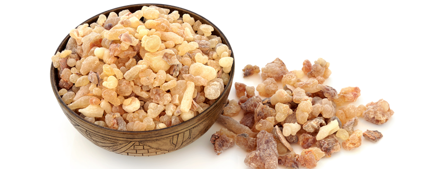 Boswellia serrata